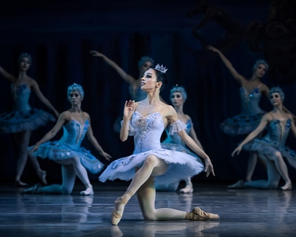 La Belle au bois dormant